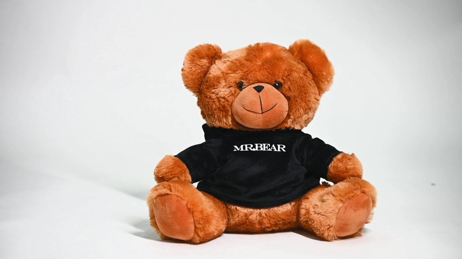 hot sale cute logo customized coloured plush teddy bear toy - bu