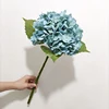 blu 6
