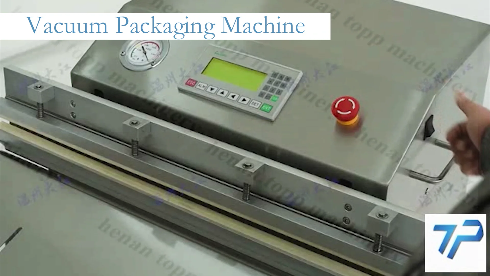 Automatic Sandwich Vacuum Packing Coffee Vacuum Packaging Pillow Vacuum