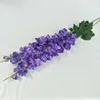 PURPLE2