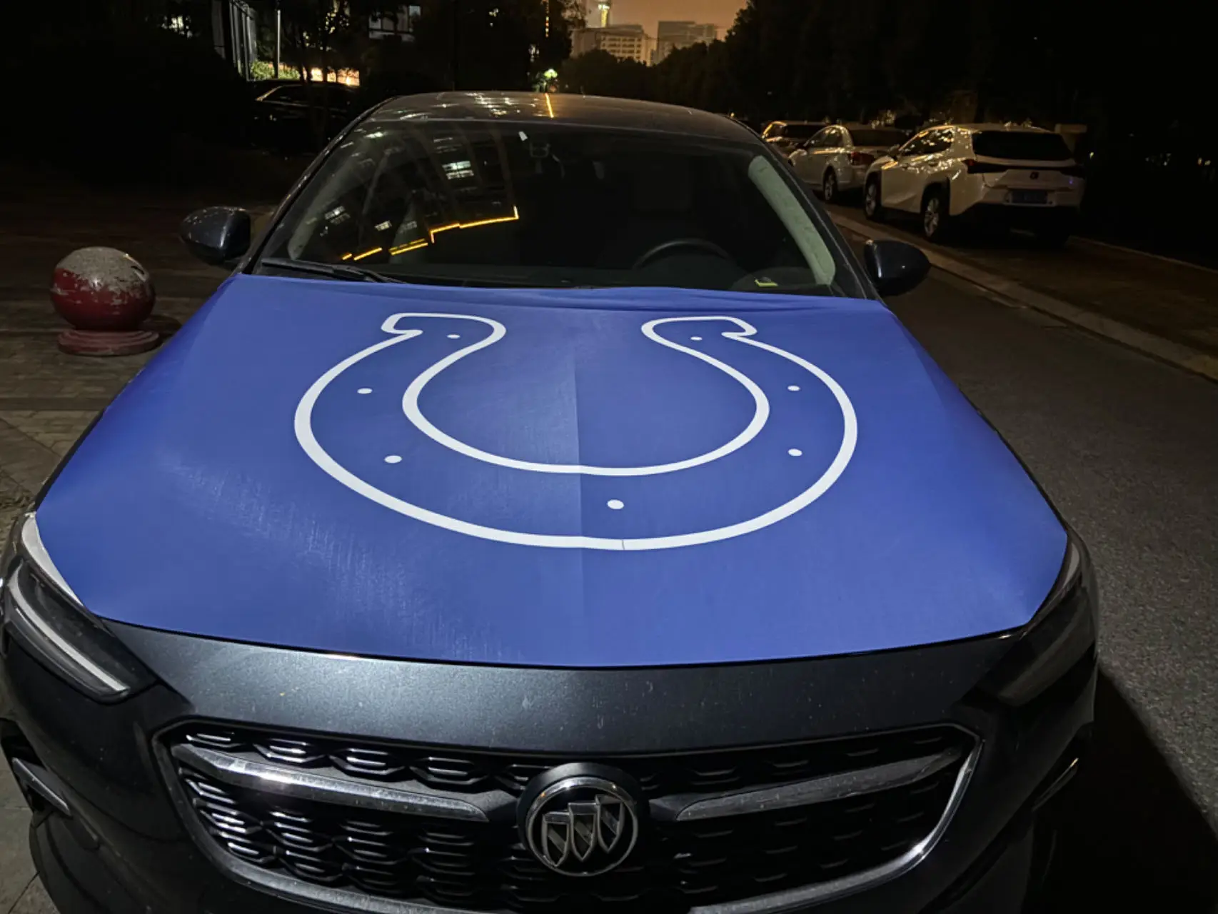 Housse De Capot Voiture Drapeau Palestine - Tissu Polyester Élastique 100x150 Cm, Lavable, Pour SUV Et Voitures - 11