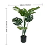 XY2502-775 80CM