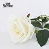 Single Crystal Rose, White