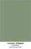 Verde chiaro