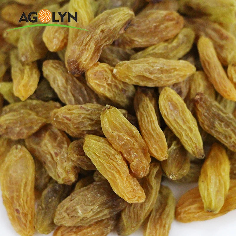 AGOLYN Golden Yellow Raisin High Quality For Export