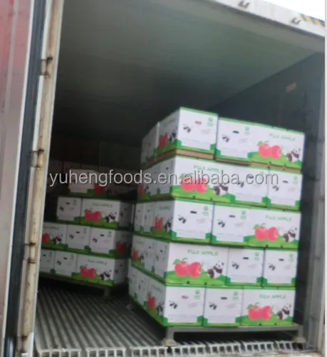 fresh apples delivery1.JPG