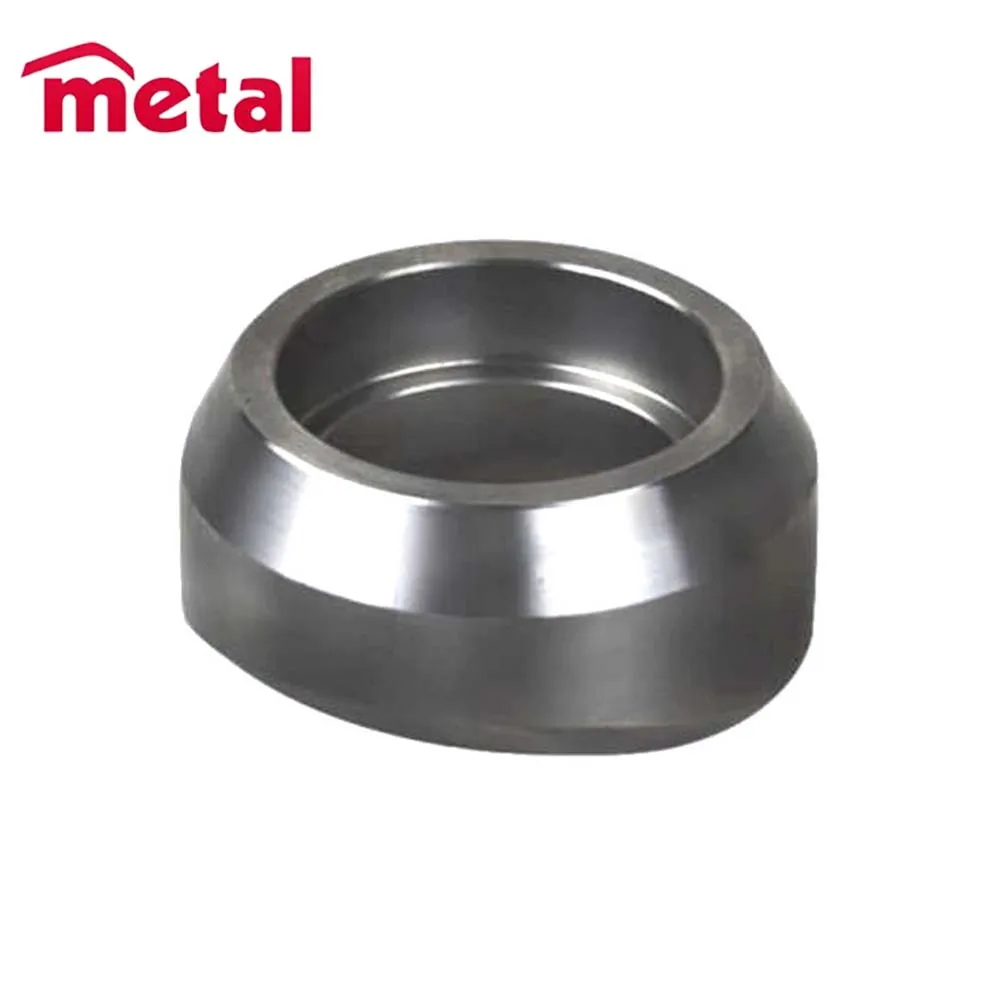 Factory Supplier Pipe Fittings Weldolet 3000# Customized Size Stainless Steel 304 316