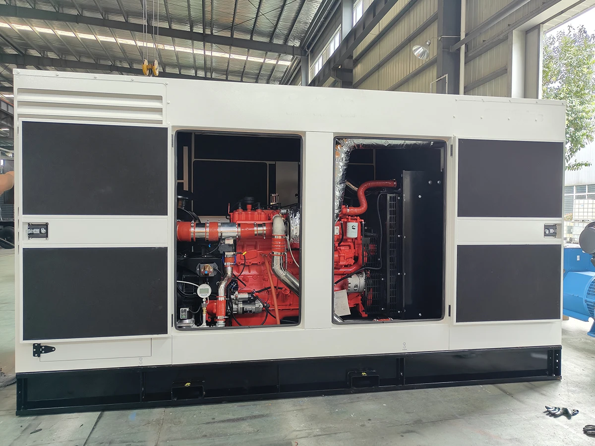 Industry Power Plant 1000kW Parallel Cabinet Natural Gas Generator Biogas Generator 1250kVA Gas Generator