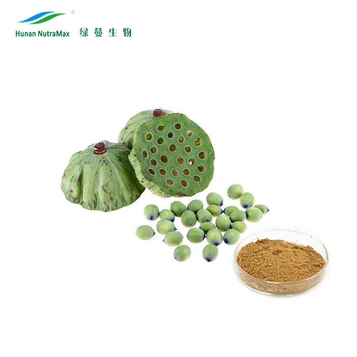 Plant Extract Lotus Seed Extract Powder Lotus Seed Extract Buy Lotus Seed Extract Lotus Seed Extract Powder Lotus Seed Product On Alibaba Com