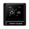 WiFi water gas boiler