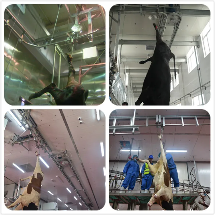 Kosher beef and mutton cutting machine butcher slaughterhouse