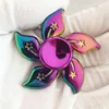 Q5-bauhinia colorata