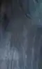 B9
