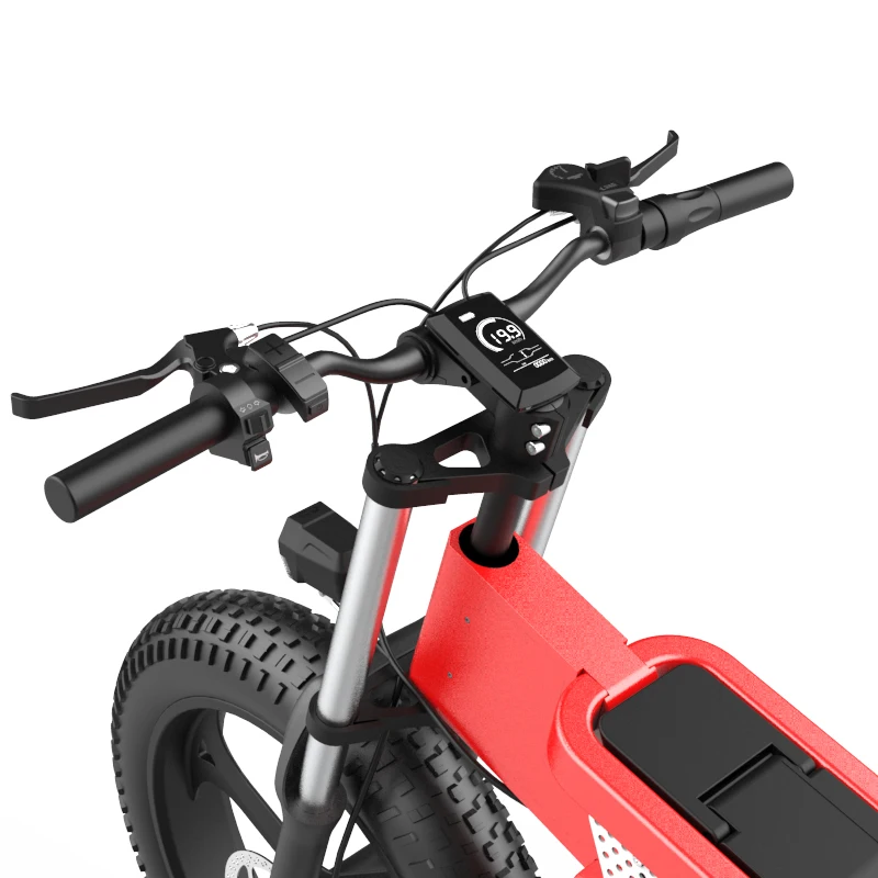 Electric Bicycles 30-50km/h Two Seat 