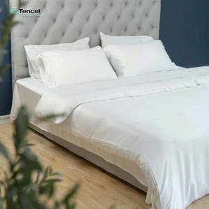 Luxury Eucalyptus Tencel Lyocell Bed Sheets Cooling Mattress Cover Silk King/Queen/Twin Home Use Bed Linen Set