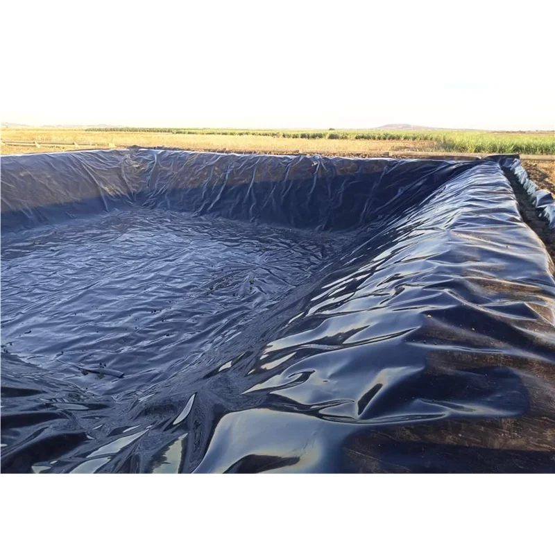 HDPE Sheet Pond Liner for Fish Farming Tanks 0.5mm 0.75mm 1mm HDPE Geomembrane
