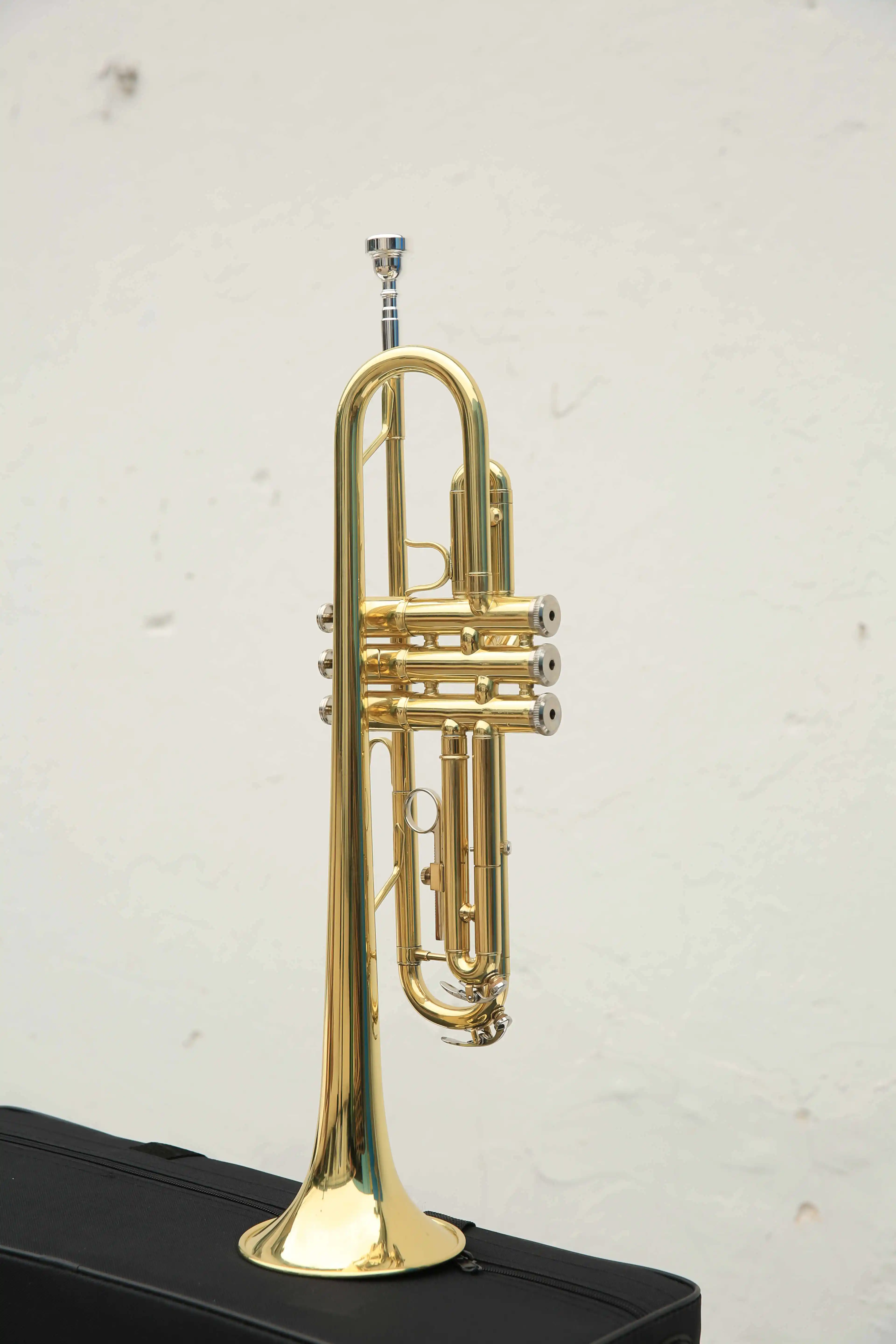 High Performance Customized High Quality Professional Trumpet Hot Sale Bass Trumpet for Musicians