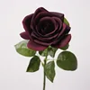 Single stem corolla rose - black buck