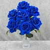 Blu reale