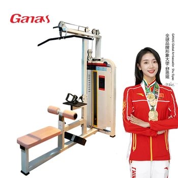 Ganas Gym Equipment Supplier Gym Machines Lat machine & Low Row(2 in 1) Support Customized Color