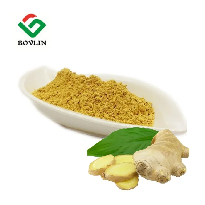 Pure ginger extract 5% Gingerol powder ginger extract