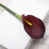 Morado oscuro