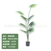Fan palm 160CM