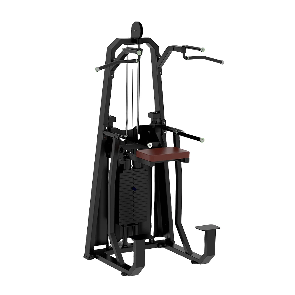 ピン式GYMフィットネス機器アシストチン/ディップマシン65 KGウェイト