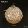 Champagne AQSL36-7