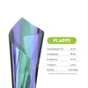 PL6099