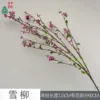 Snow Willow SCN Rojo Rosa