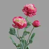 สีม่วง