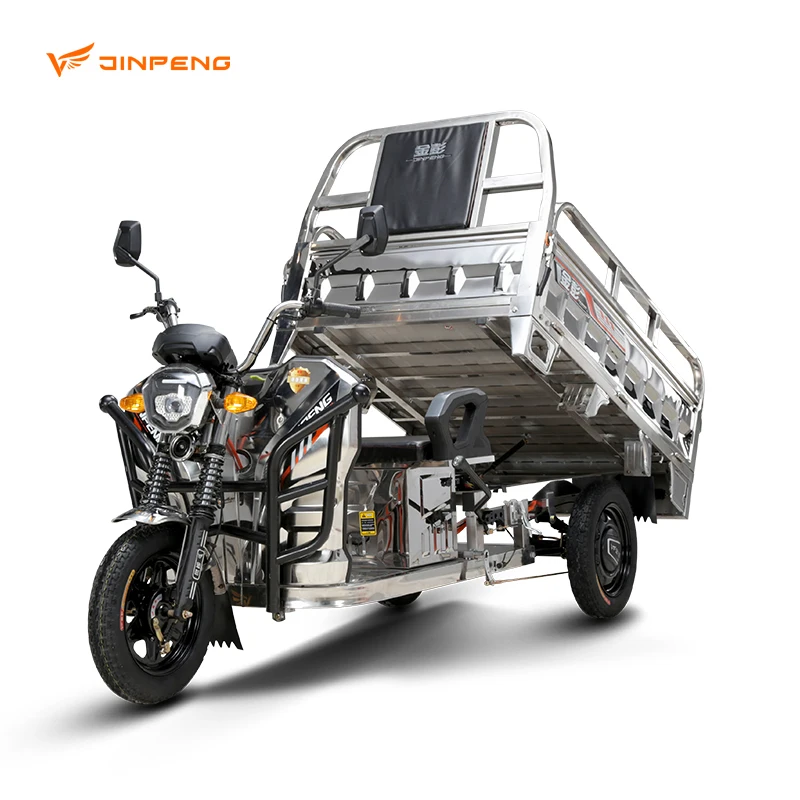 2024 Cheap E-Trikes 3 Wheel Cargo Electric Tricycles Motorcycle Three Wheel Adult