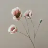Gris rose poussiéreux