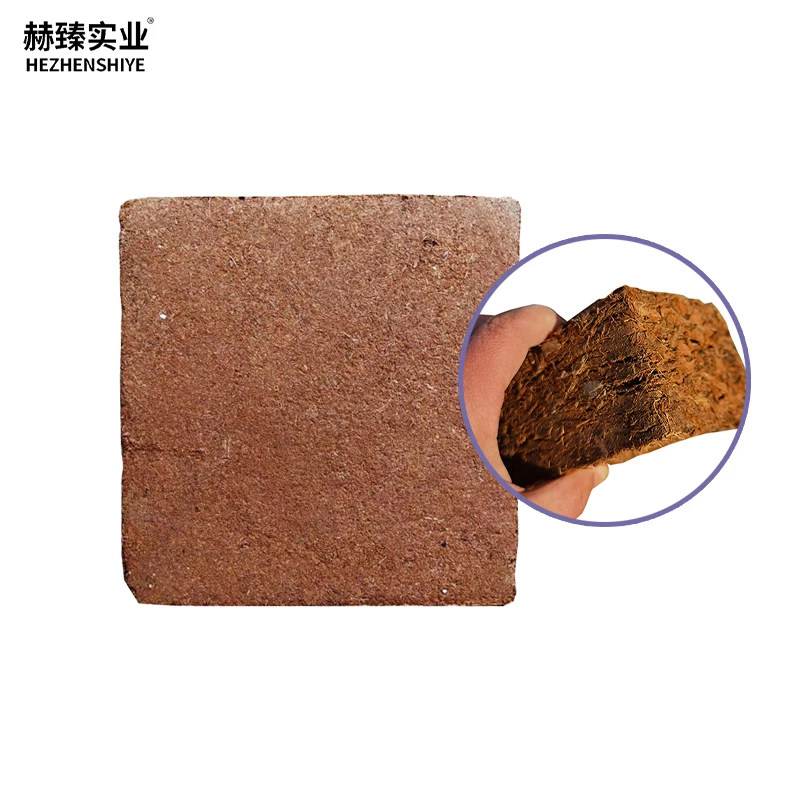 Coco Peat Coir Brick Non-Metallic Mineral Horticultural Compress Block for Plants and Flowers Competitive Price Coir Brick