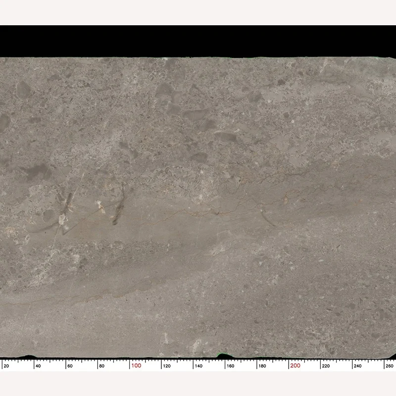 ألواح رخام أليس الرمادي بالجملة مباشرة من المصنع للأرضيات، وبلاط رخام رمادي لتصميم الجدران الداخلية