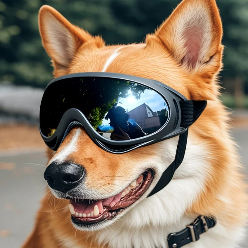 Lunettes de soleil pour chien coupe-vent toutes saisons_voghion.com
