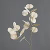 Autunno bianco
