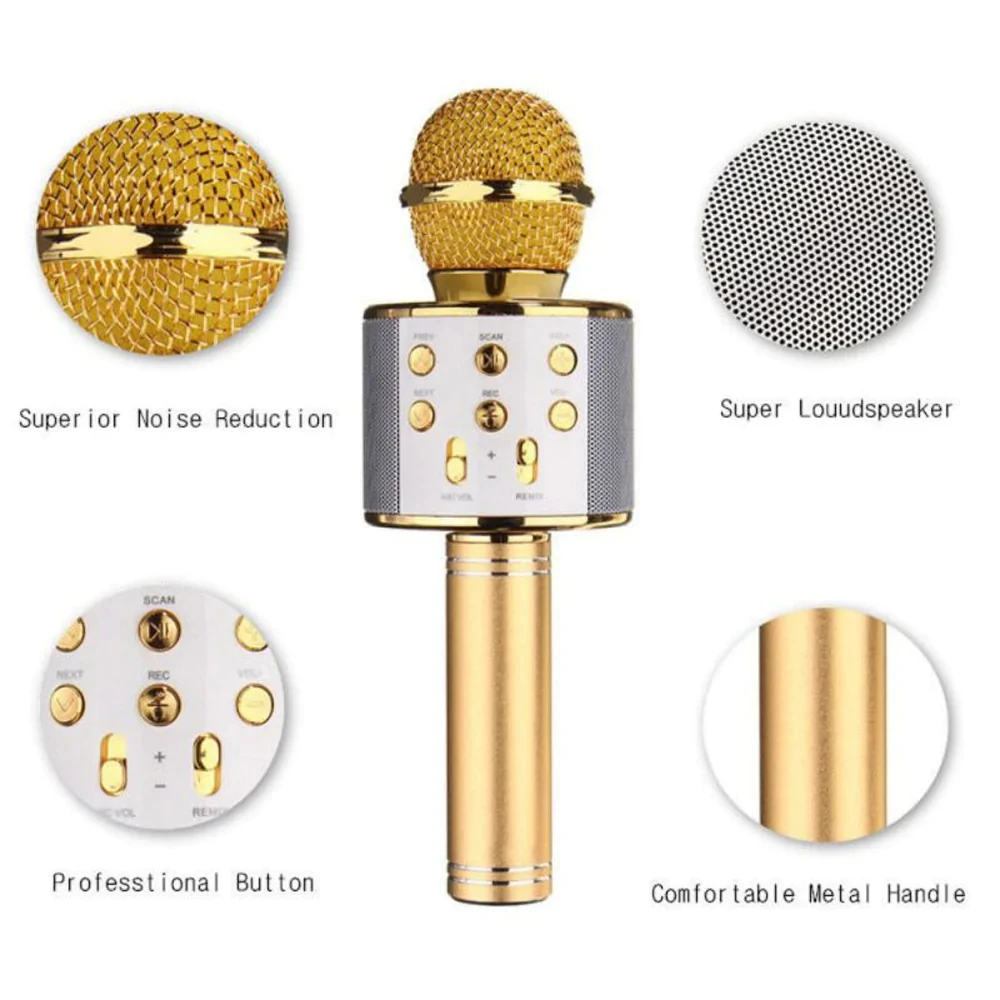 Karaoke microphone