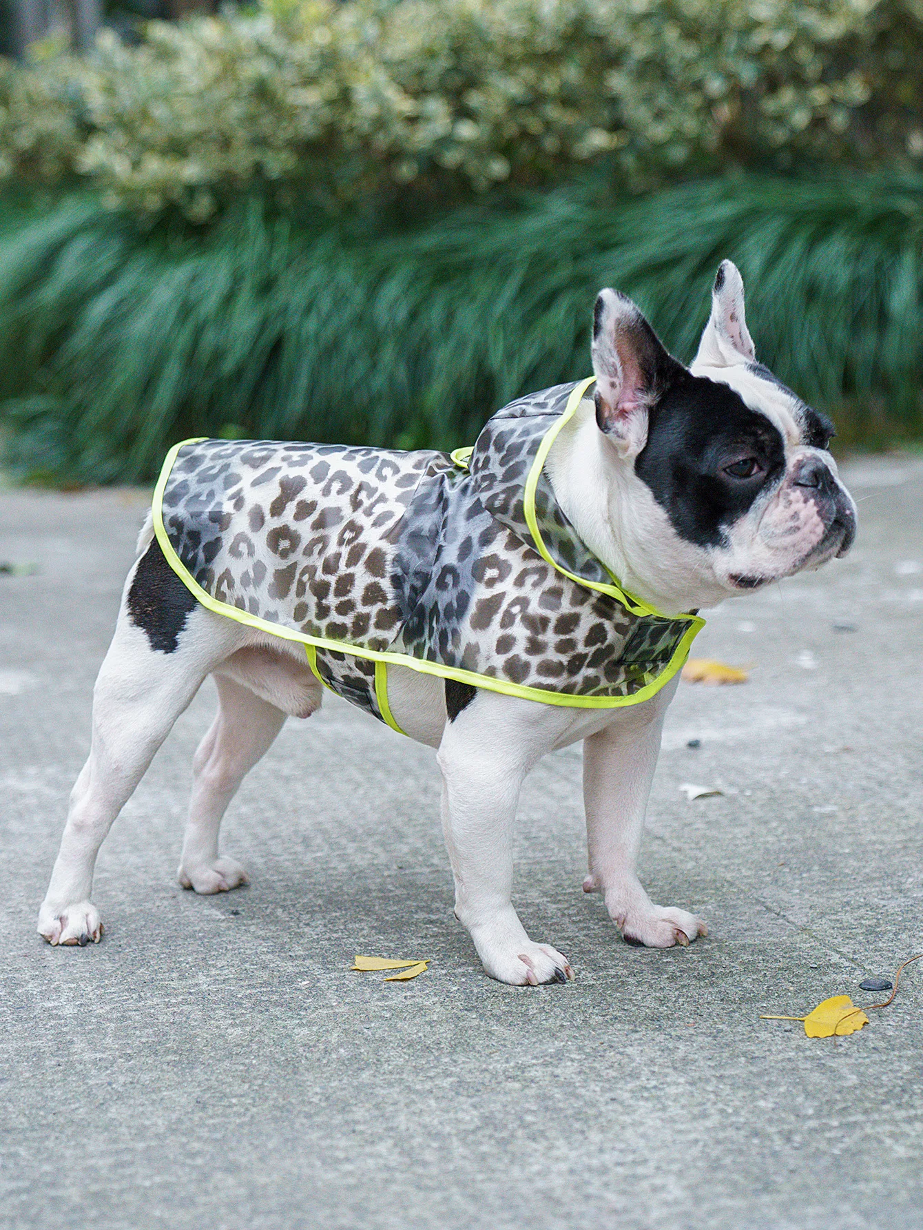 New Designed Cheap Clear Transparent EVA Dog Raincoat