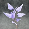 Feuille de Calla violette