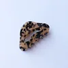 Écaille de tortue claire