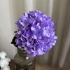 4 #   Violet