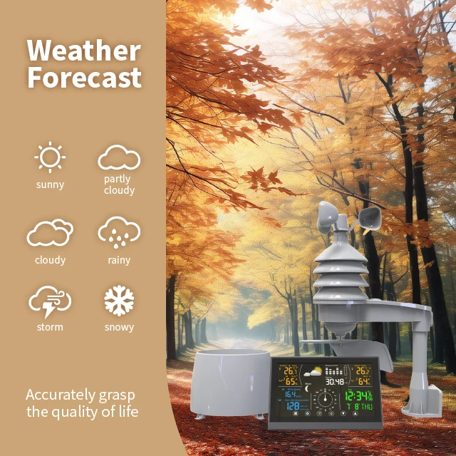 Digital Multifunctional Weather Station with Wind and Rain High Arruracy Date Logger Temperature Weather Forecast Station