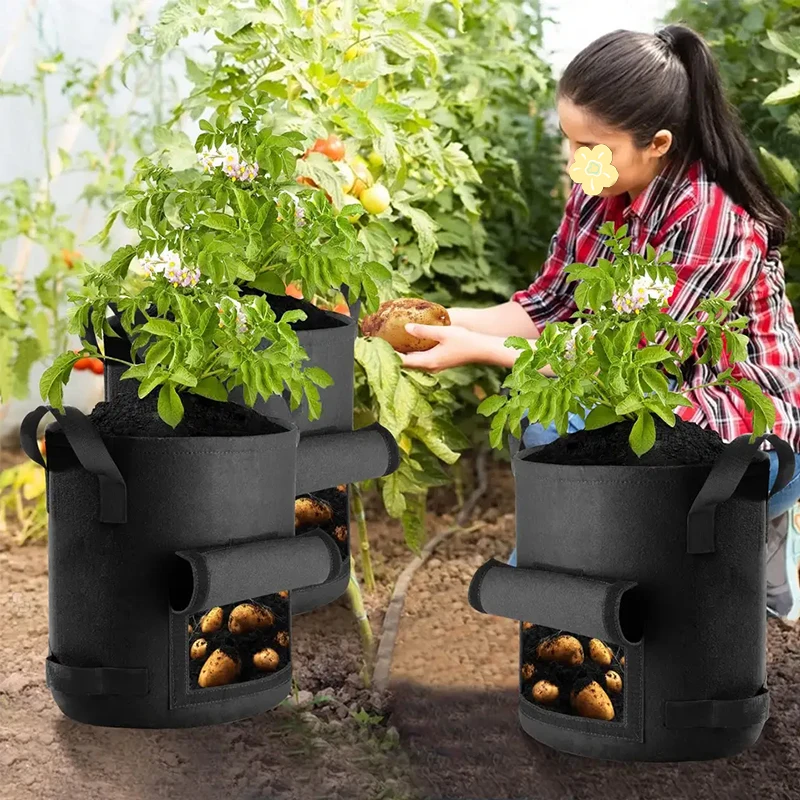 Heavy Duty Garden Growing Bags Fabric Grow Pots For Strawberry Potato