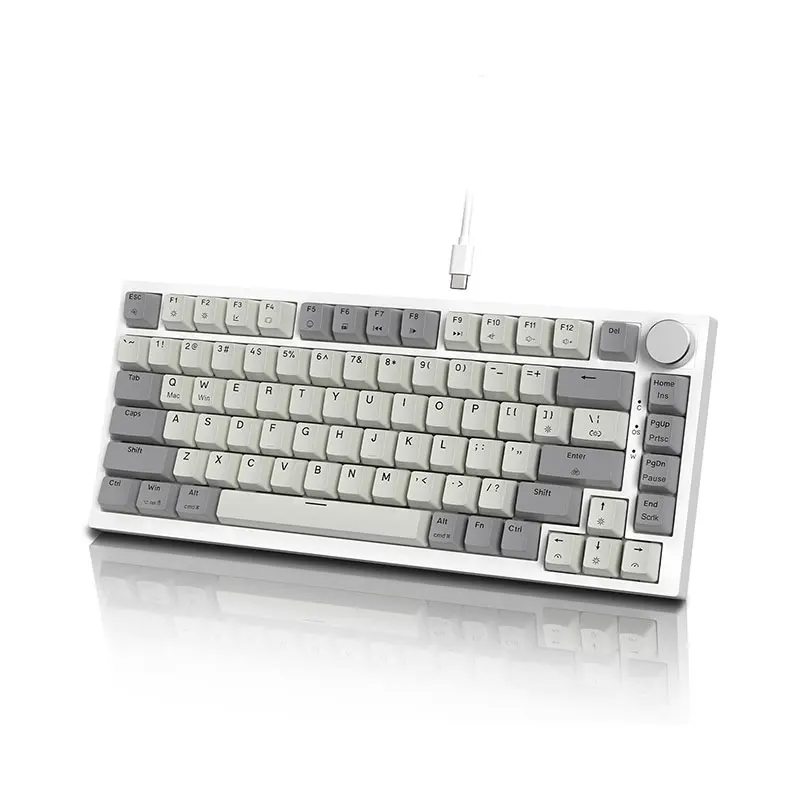 Pi967 SII K86 Mechanical Keyboard in Grey and Lavender - 87 Keys