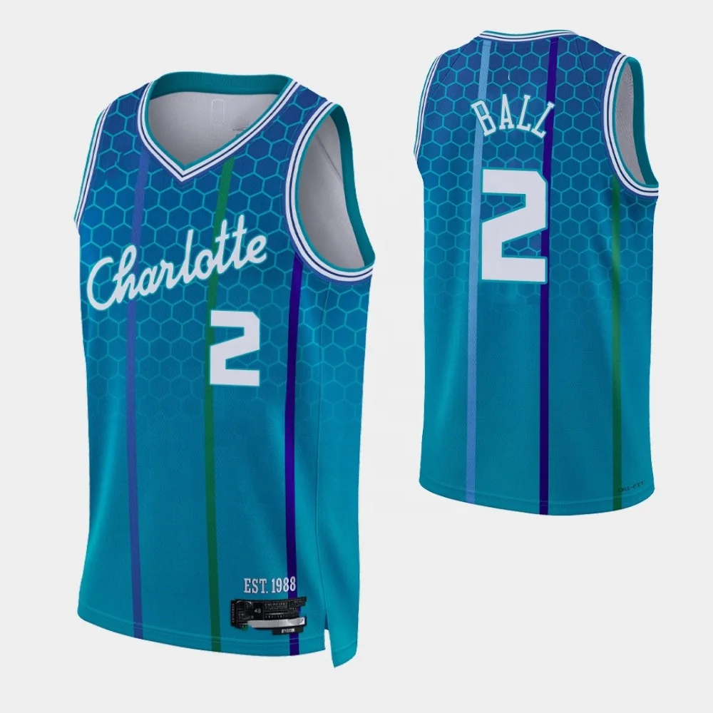 hornets johnson jersey