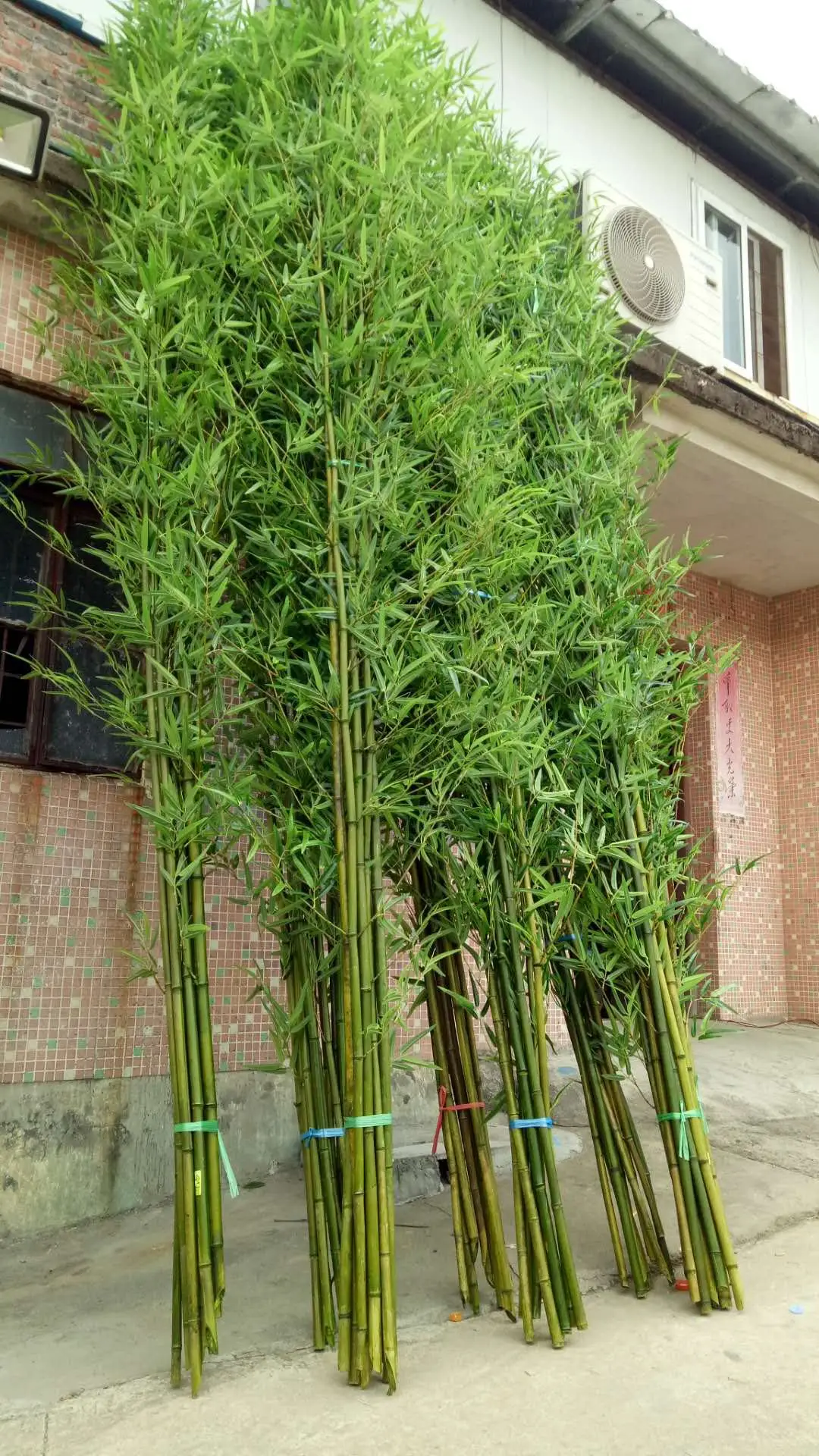 180cm Artificial Bamboo Tree Large Artificial Plant Bamboo Tree Single
