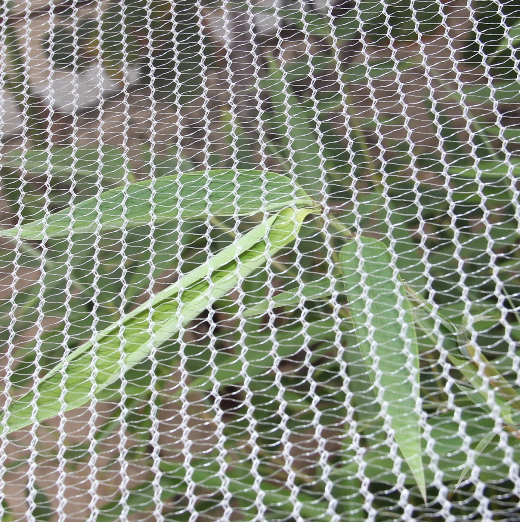 Fruit Tree Anti Hail Net apple Orchard Hail Net Frost protection Anti-hail Net