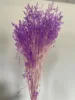 rosso viola chiaro